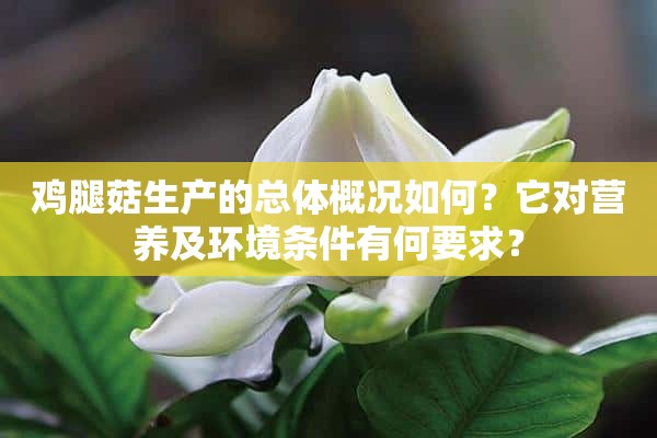 鸡腿菇生产的总体概况如何？它对营养及环境条件有何要求？