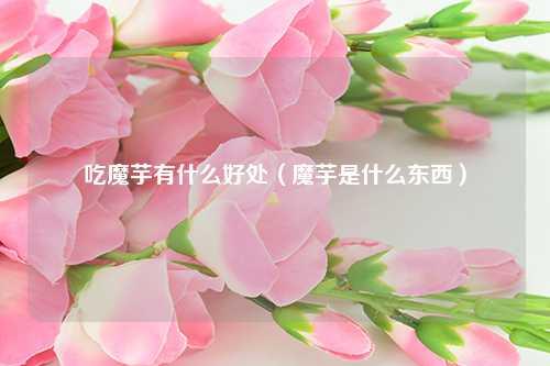 吃魔芋有什么好处（魔芋是什么东西）