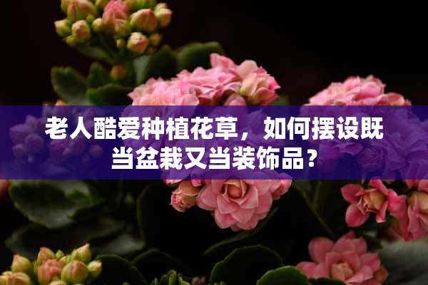 老人酷爱种植花草，如何摆设既当盆栽又当装饰品？