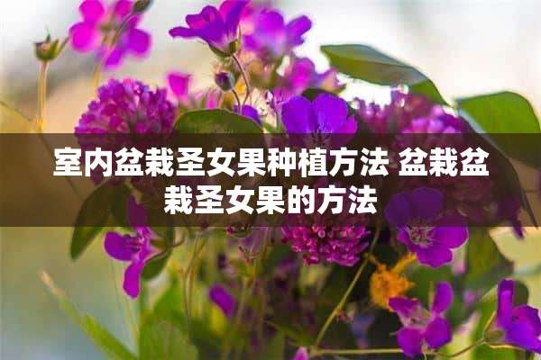 室内盆栽圣女果种植方法 盆栽盆栽圣女果的方法