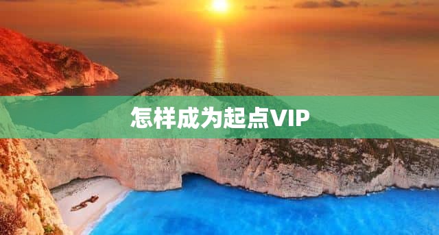 怎样成为起点VIP