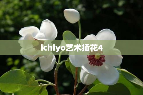 ichiyo艺术插花4