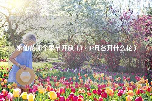 水仙花哪个季节开放（1～12月各开什么花） 花卉