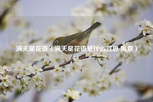 满天星花语（满天星花语是什么意思 寓意） 花卉