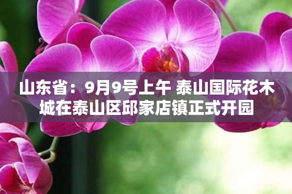 山东省：9月9号上午 泰山国际花木城在泰山区邱家店镇正式开园