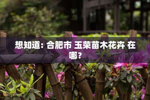 想知道: 合肥市 玉荣苗木花卉 在哪？