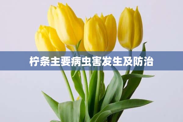 柠条主要病虫害发生及防治