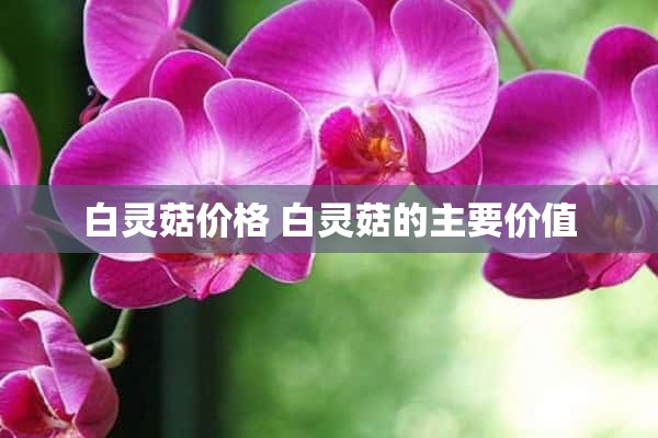 白灵菇价格 白灵菇的主要价值