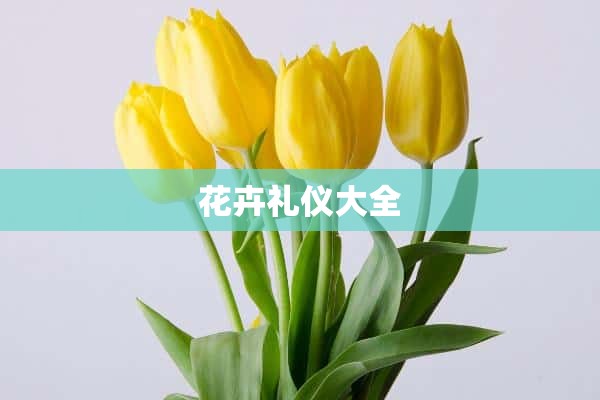 花卉礼仪大全