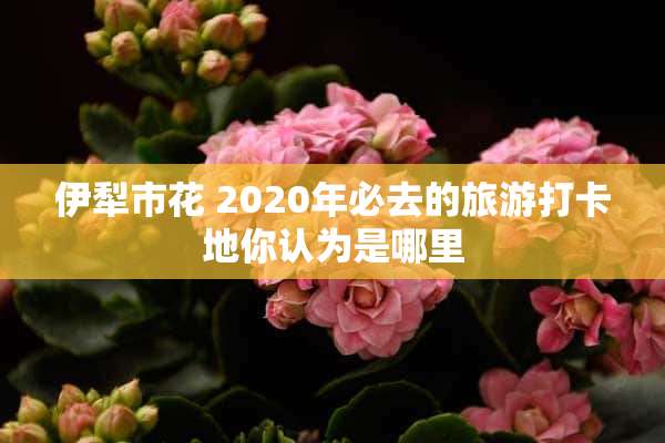 伊犁市花 2020年必去的旅游打卡地你认为是哪里