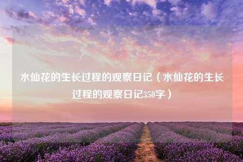 水仙花的生长过程的观察日记（水仙花的生长过程的观察日记350字）