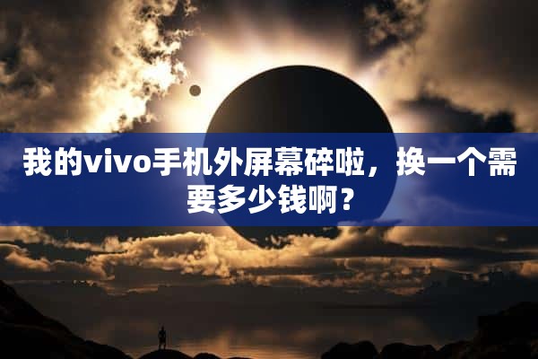 我的vivo手机外屏幕碎啦，换一个需要多少钱啊？