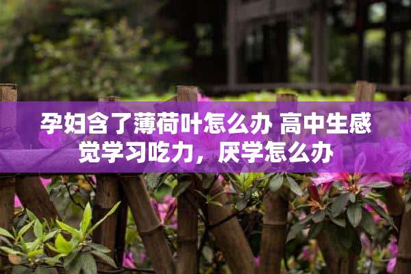 孕妇含了薄荷叶怎么办 高中生感觉学习吃力，厌学怎么办