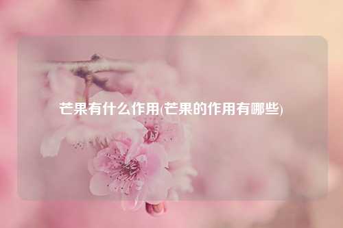 芒果有什么作用