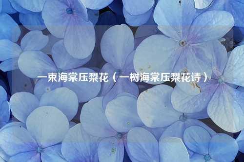 一束海棠压梨花（一树海棠压梨花诗） 花卉