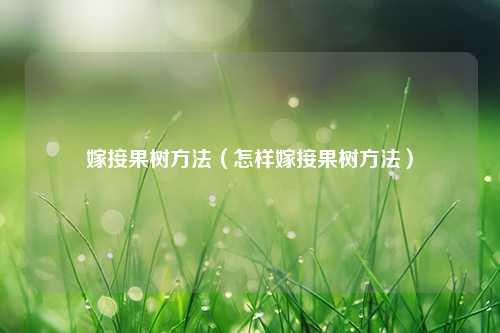 嫁接果树方法（怎样嫁接果树方法） 花卉