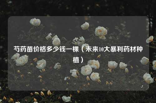 芍药苗价格多少钱一棵（未来10大暴利药材种植） 花卉