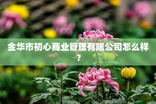 金华市初心商业管理有限公司怎么样？