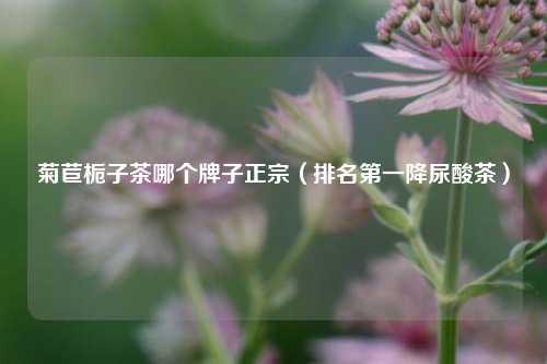 菊苣栀子茶哪个牌子正宗（排名第一降尿酸茶） 花卉