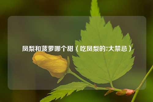 凤梨和菠萝哪个甜（吃凤梨的7大禁忌） 花卉