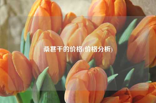 桑葚干的价格