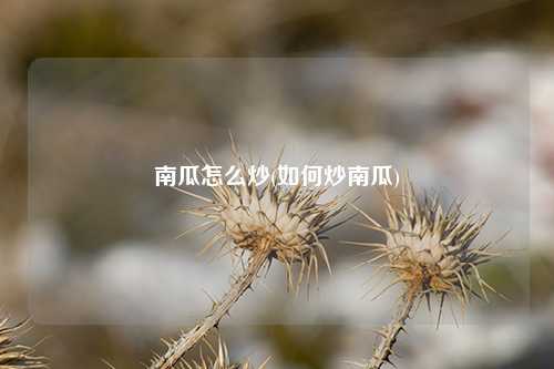 南瓜怎么炒(如何炒南瓜) 种植业