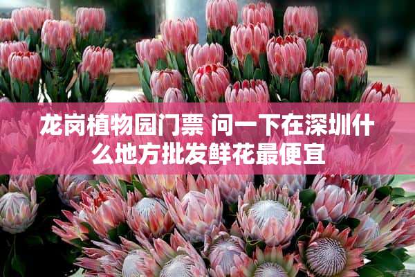 龙岗植物园门票 问一下在深圳什么地方批发鲜花最便宜