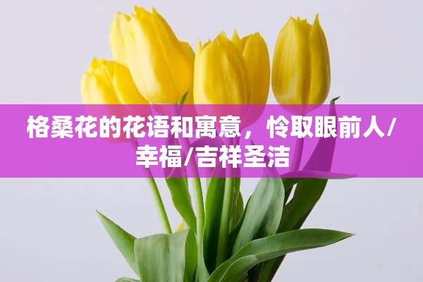 格桑花的花语和寓意，怜取眼前人/幸福/吉祥圣洁