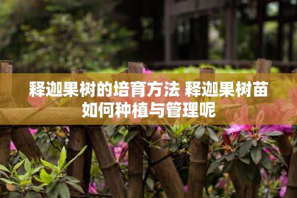 释迦果树的培育方法 释迦果树苗如何种植与管理呢