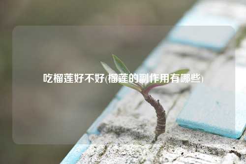 吃榴莲好不好(榴莲的副作用有哪些) 种植业