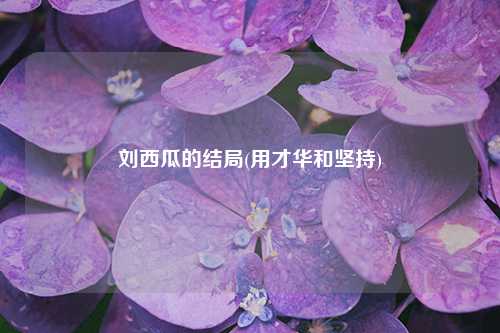 刘西瓜的结局