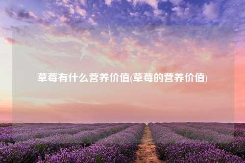 草莓有什么营养价值(草莓的营养价值) 种植业