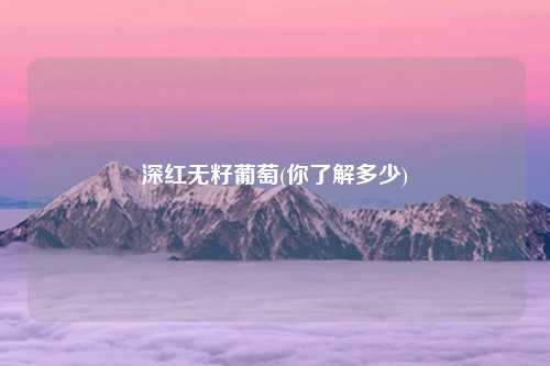 深红无籽葡萄