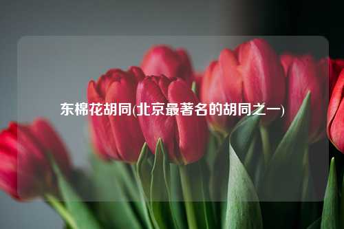 东棉花胡同