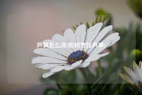 芦笋怎么洗(如何烹饪芦笋) 种植业