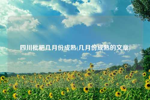 四川枇杷几月份成熟(几月份成熟的文章) 种植业