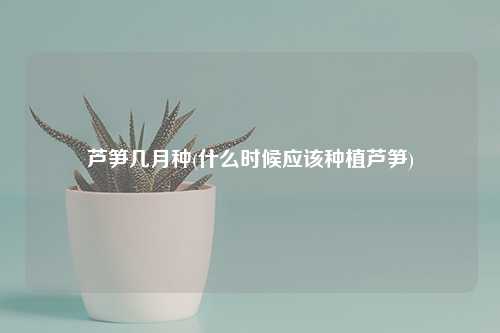 芦笋几月种(什么时候应该种植芦笋) 种植业