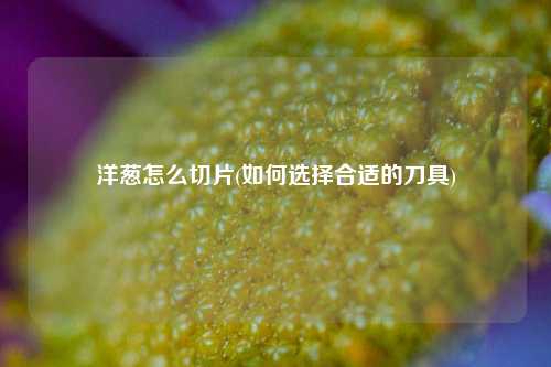 洋葱怎么切片