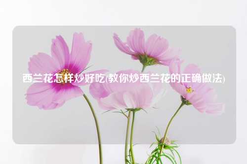 西兰花怎样炒好吃