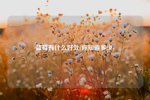 蓝莓有什么好处(你知道多少) 种植业