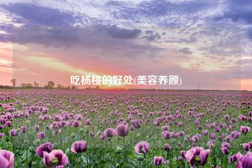 吃杨桃的好处(美容养颜) 种植业