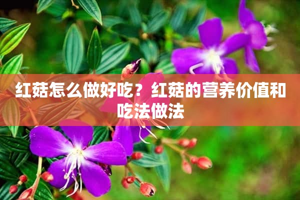 红菇怎么做好吃？红菇的营养价值和吃法做法