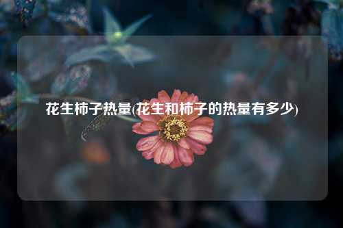 花生柿子热量