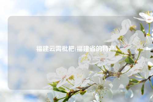 福建云霄枇杷(福建省的特产) 种植业