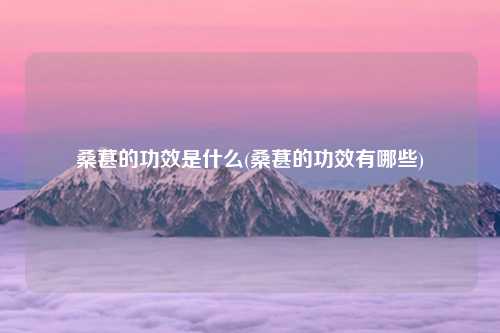 桑葚的功效是什么