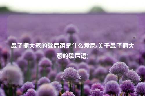 鼻子插大葱的歇后语是什么意思