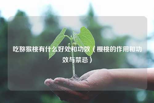 吃猕猴桃有什么好处和功效（樱桃的作用和功效与禁忌） 花卉