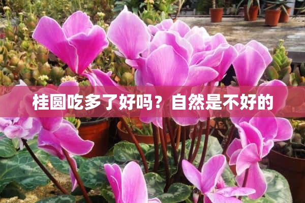 桂圆吃多了好吗？自然是不好的