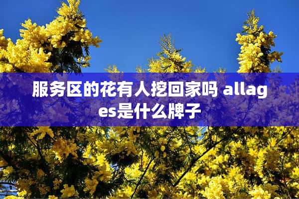 服务区的花有人挖回家吗 allages是什么牌子