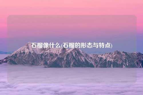 石榴像什么